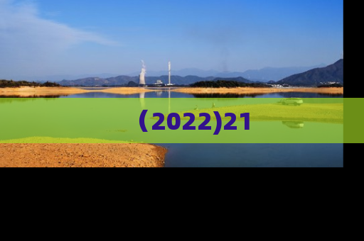 （2022)21