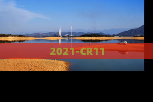 2021-CR11
