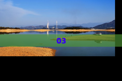 03