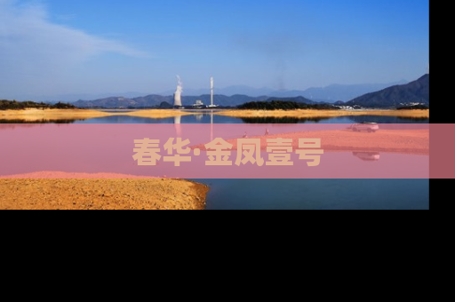 春华·金凤壹号