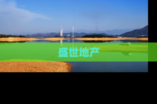 盛世地产