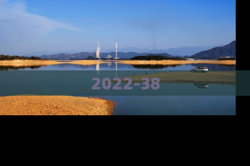 2022-38