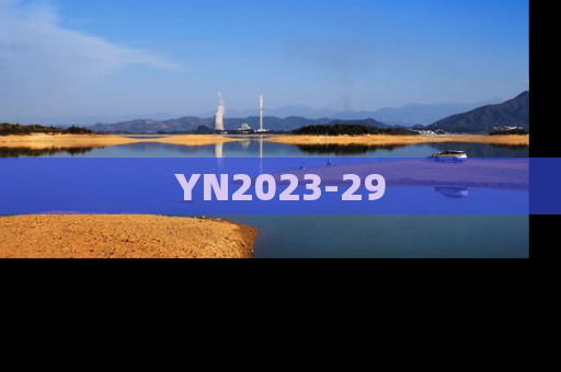 YN2023-29