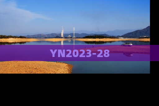 YN2023-28