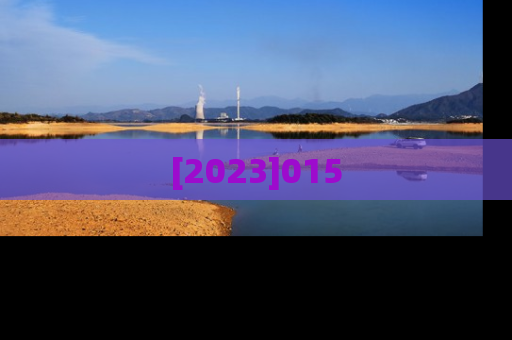 [2023]015