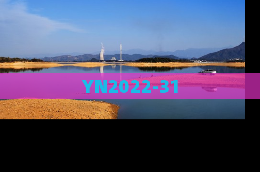 YN2022-31