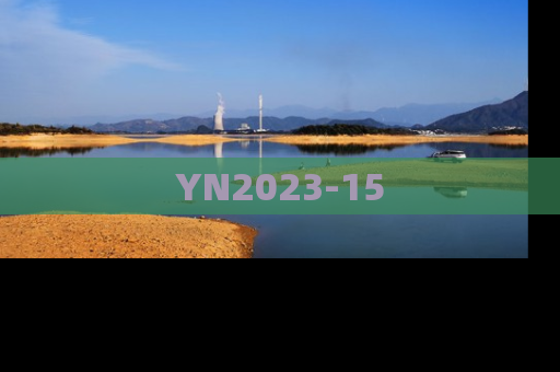 YN2023-15