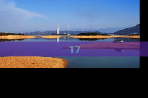 17