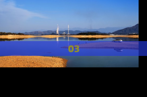 03