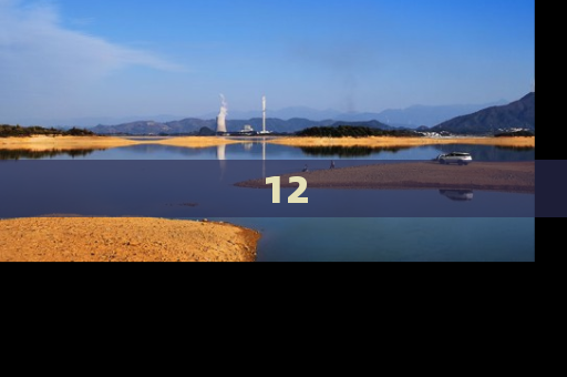 12
