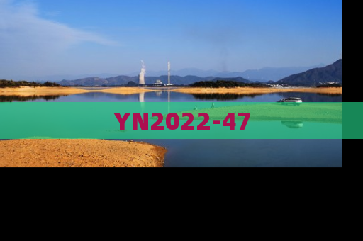 YN2022-47