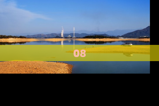 08