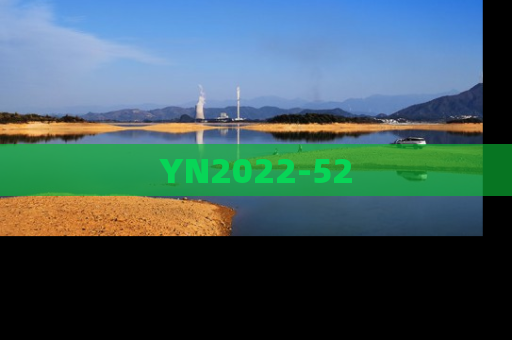 YN2022-52