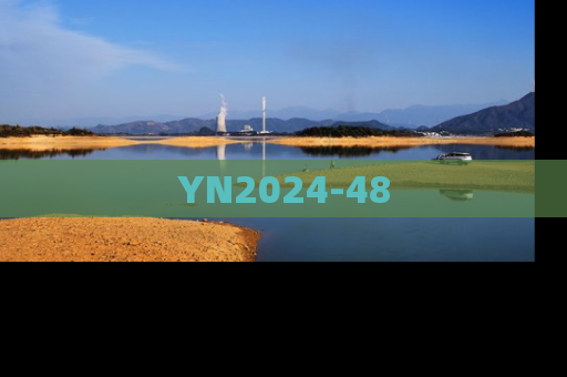 YN2024-48