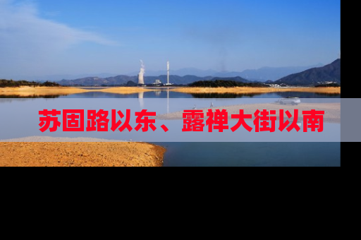 苏固路以东、露禅大街以南