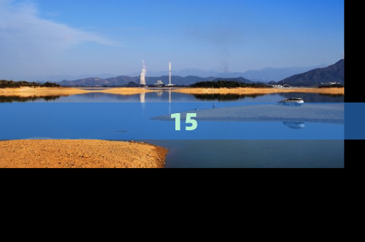 15