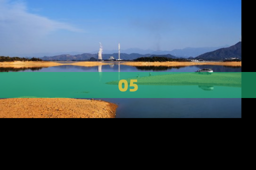 05