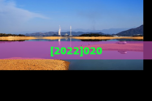 [2022]020