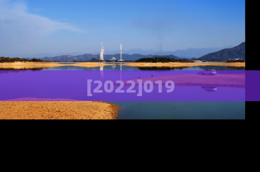[2022]019