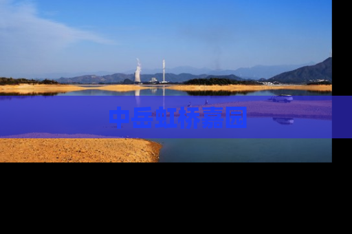 中岳虹桥嘉园