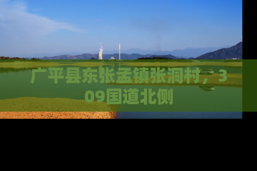 广平县东张孟镇张洞村，309国道北侧