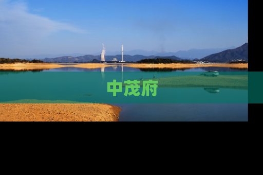 中茂府
