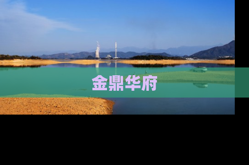 金鼎华府