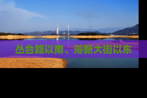 丛台路以南、浴新大街以东