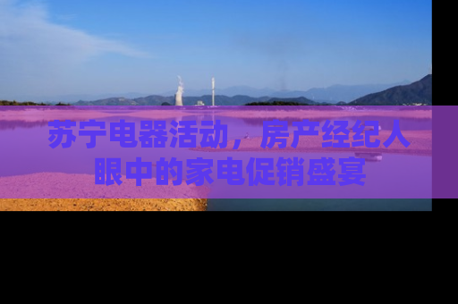 苏宁电器活动，房产经纪人眼中的家电促销盛宴
