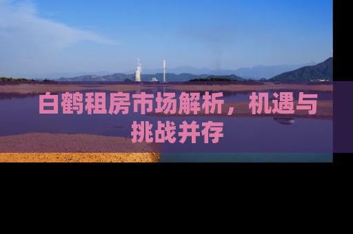 白鹤租房市场解析，机遇与挑战并存