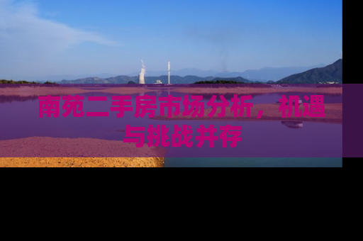 南苑二手房市场分析，机遇与挑战并存