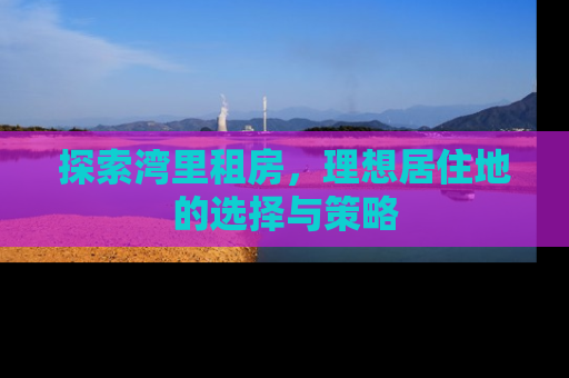探索湾里租房，理想居住地的选择与策略