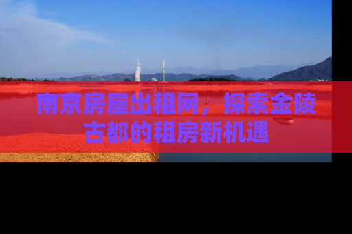 南京房屋出租网，探索金陵古都的租房新机遇