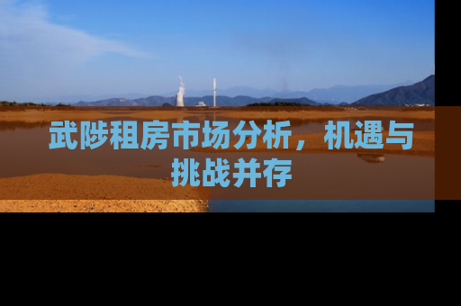 武陟租房市场分析，机遇与挑战并存