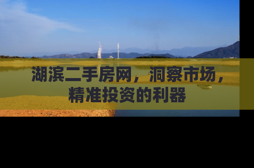 湖滨二手房网，洞察市场，精准投资的利器