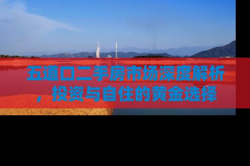五道口二手房市场深度解析，投资与自住的黄金选择