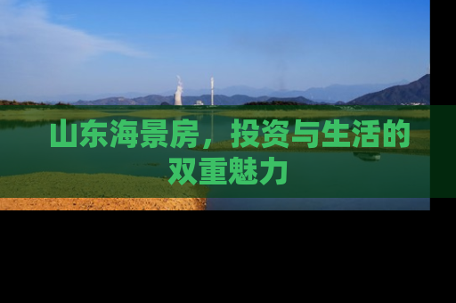 山东海景房，投资与生活的双重魅力