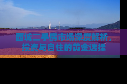 西城二手房市场深度解析，投资与自住的黄金选择