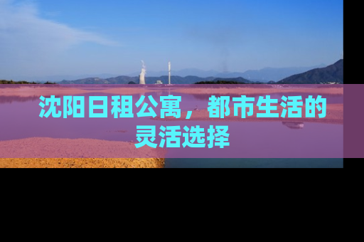 沈阳日租公寓，都市生活的灵活选择