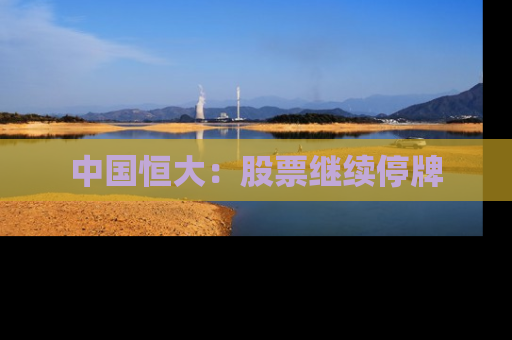 中国恒大：股票继续停牌