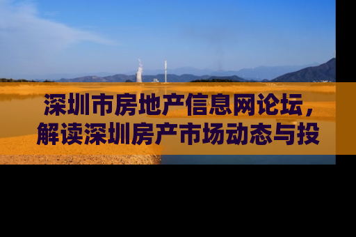 深圳市房地产信息网论坛，解读深圳房产市场动态与投资策略