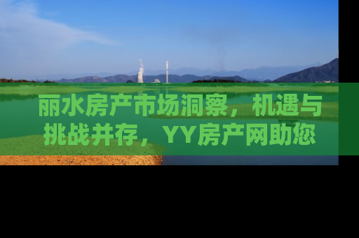 丽水房产市场洞察，机遇与挑战并存，YY房产网助您把握先机
