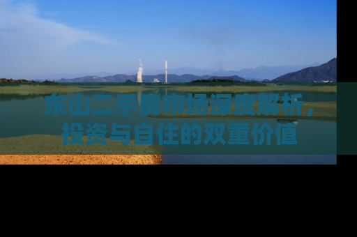 东山二手房市场深度解析，投资与自住的双重价值
