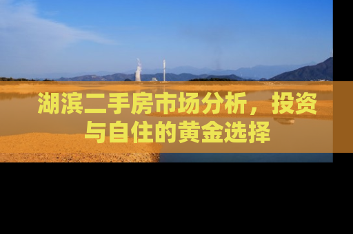 湖滨二手房市场分析，投资与自住的黄金选择