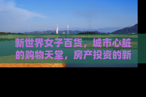 新世界女子百货，城市心脏的购物天堂，房产投资的新宠儿