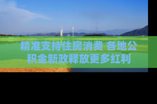 精准支持住房消费 各地公积金新政释放更多红利