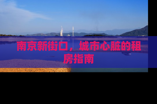 南京新街口，城市心脏的租房指南