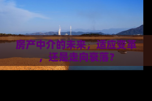 房产中介的未来，适应变革，还是走向衰落？