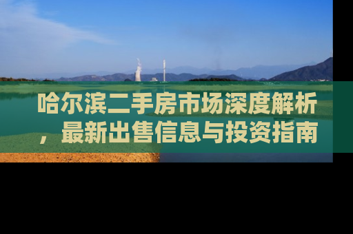 哈尔滨二手房市场深度解析，最新出售信息与投资指南