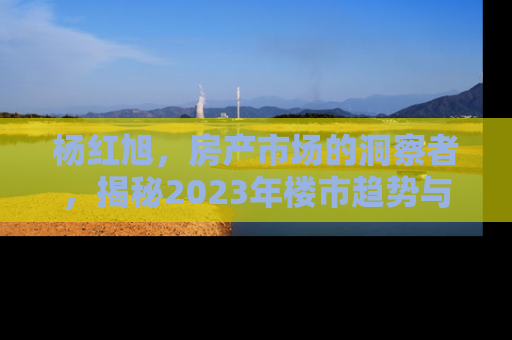 杨红旭，房产市场的洞察者，揭秘2023年楼市趋势与投资策略